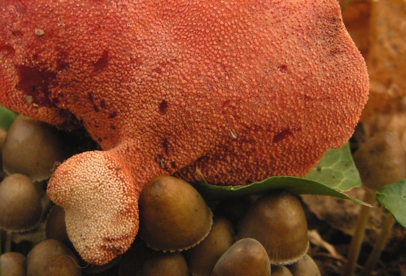 una coppia affiatata